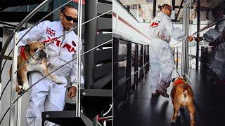 Lewis Hamilton arrives with Roscoe in Silverstone | Roscoe tours Mercedes garage #BritishGP