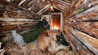 Building Warm Bushcraft Survival Shelter in Wildlife, Fireplace, Campfire Cooking, ASMR, DIY