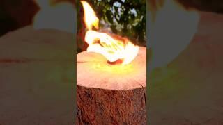 How to make a SWEDISH LOG TORCH #camping #survival #bushcraft #outdoors