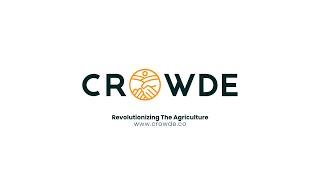 Crowde Logo Animation