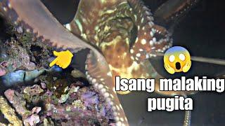 NIGHT SPEARFISHING  tigao fishing spot cortes SURIGAO DEL sur