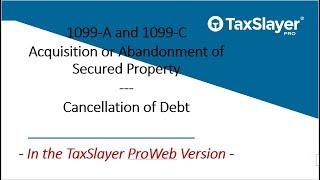 How to File 1099-A and 1099-C in TaxSlayer Pro Web