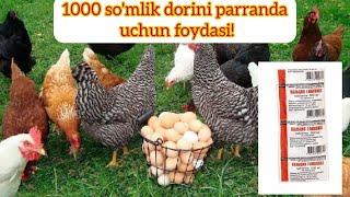 Parranda uchun eng arzon va foydali dori!