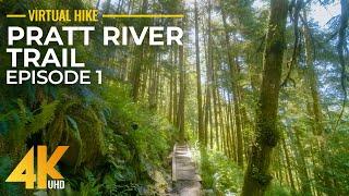 4K Sunny Summer Day Forest Walk (7 HRS) Hike along Pratt River Trail (Summer, 2022) - Part 1