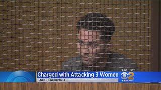 CSUN Student Charged With Rape, Assault On 3 Women