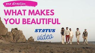 One Direction - What Makes You Beautiful status With Lyrics