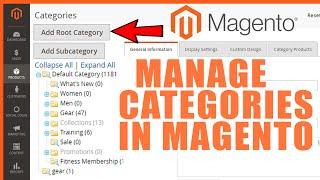 How to Manage Categories in Magento?