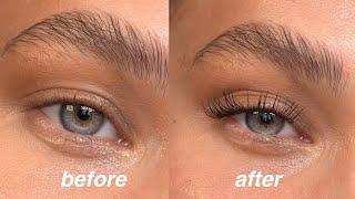 my lash routine (the cheapest and fastest way)