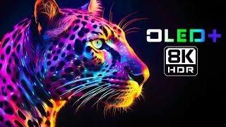 OLED TEST - Outstanding Quality in 8K HDR | Dolby Vision™