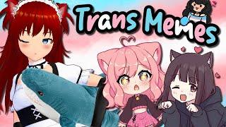 Trans MEMES featuring the cutest Catgirls [r/traa & r/egg_irl]