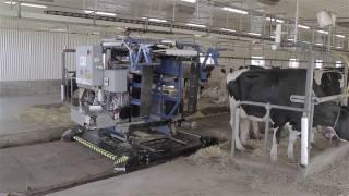 Tie-Stall AMS Milking Robot by Milkomax