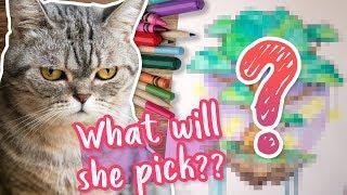 MY CAT PICKS MY ART SUPPLIES  Art Challenge