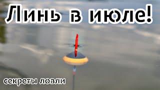 Линь будет топить поплавок каждые 5 минут! Узнай секреты ловли линя летом в июле!