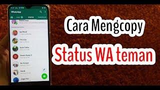 Cara Mengcopy Status Whatsapp Teman.