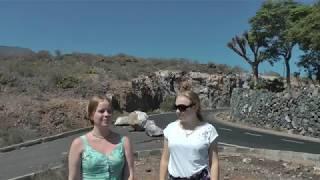 Отзыв: Обзорная индивидуальная экскурсия на Тенерифе