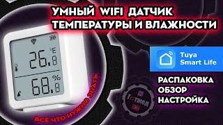 Умный Wi Fi Датчик температуры и влажности Tuya, Smart Life, Alexa, Google Assistant