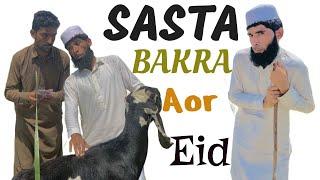 Eid Pe Sasta Bakra Mehnga Par Gya@Ballazeerreal