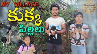 కుక్క పిల్లలు | MY VILLAGE KUKKA PILLALU | MADE IN VILLAGE COMEDY