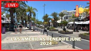 LIVE: What’s Happening in Playa De Las Americas? Weather, Event & Tenerife Beaches and More ️