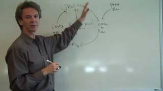 Introduction to System Dynamics #5 - Maximizing Profits