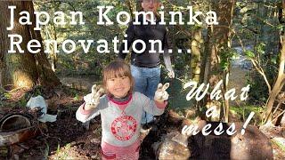 Kominka Renovation - Yard Cleanup - Week One!