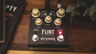 Strymon Flint Demo (The Reason I Sold My Strymon BigSky)