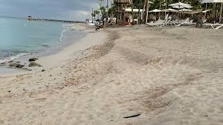 WORST Beach in The World  . Dreams Dominicus La Romana