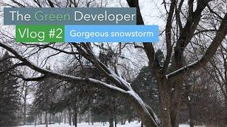 Day In The Life of An Independent Software Developer - The Green Developer Vlog #2