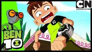 Queen of Bees | Ben 10 | Cartoon Network