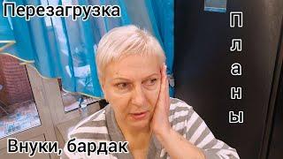 Вперёд к встрече Нового года. Хандру прогнали. Внуки приехали. На даче будет стройка.