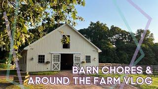 Barn Chores & Hanging Around the Farm • Summer 2024 // EQUESTRIAN VLOG