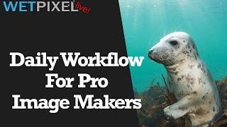 Daily Workflow for Underwater Photographers