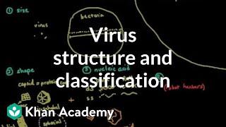 Virus structure and classification | Cells | MCAT | Khan Academy