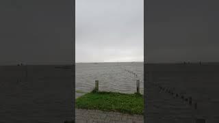 Hochwasser Dorum-Neufeld #shorts #cuxhaven