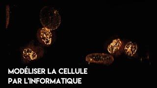 Modéliser la cellule par l'informatique - Walter Fontana