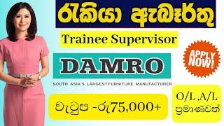 damro #job vacancy 2024 |job vacancies | Job Sri Lanka |job interview |jobs ,