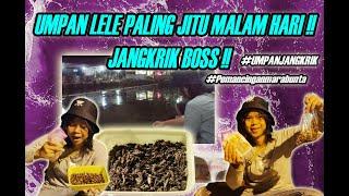 UMPAN LELE PALING JITU MALAM HARI !! JANGKRIK BOSS !!