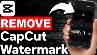 How To Remove Watermark from Video With CapCut