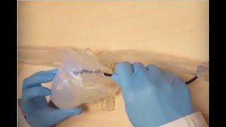 Endoscopy on Heart Phantom (Transparent)