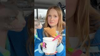 I took my cat to Baskin Robbins#shorts #sphynx #pets #icecream #vlog