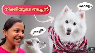 നിക്കിയുടെ അച്ഛനെ ഞങ്ങൾ കണ്ടുപിടിച്ചു | ദേവു ആദ്യമായി രാവിലെ നടക്കാൻ പോയി