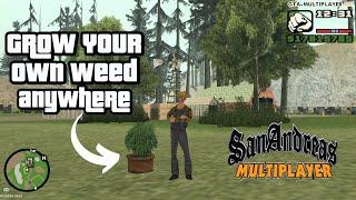 Grow your own Hemp / Weed plant | WTLS San Andreas Multiplayer