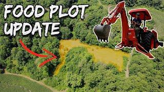 Building Interior Food Plots | Mid-Summer Update