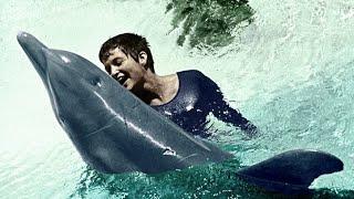 Интимная связь с дельфином⁠⁠, шокирующая история межвидовых отношений