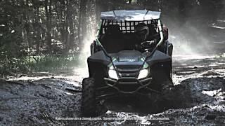 The Arctic Cat 2016 Wildcat Experience