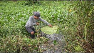 4 Hari berburu pasang prangkap ikan dirawa angker & ada hewan misterius!!!!! #KOOKIKO