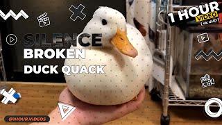 Duck Quack - 1 Hour - 4k - Silence Broken