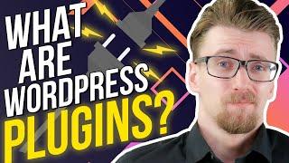 What Are WordPress Plugins - Everything You Didn't Know!