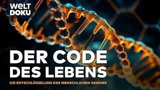 DER CODE DES LEBENS: Die Entschlüsselung des menschlichen Genoms | Cracking the Code S1E08 WELT DOKU