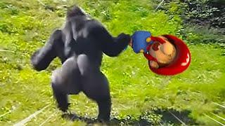 Donkey Kong vs Baby Mario